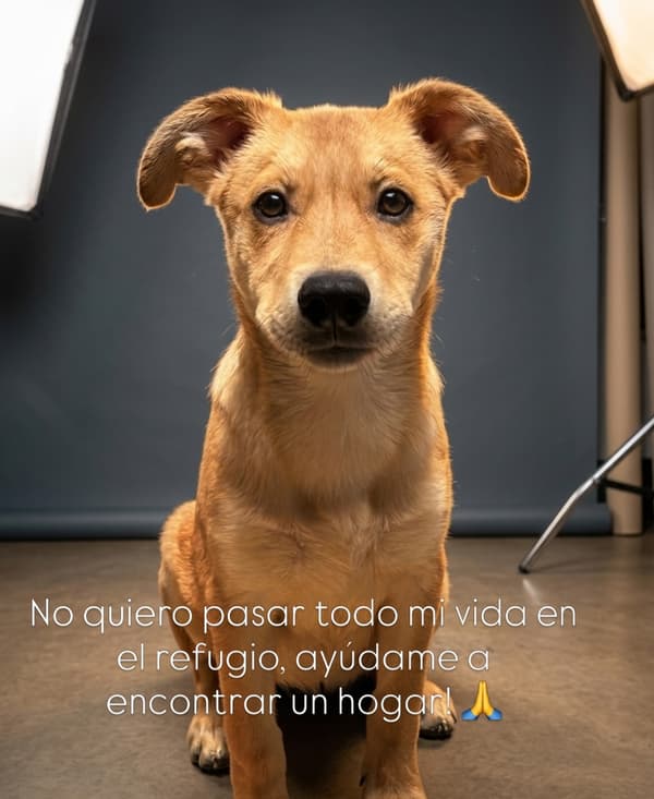 Sin nombre
