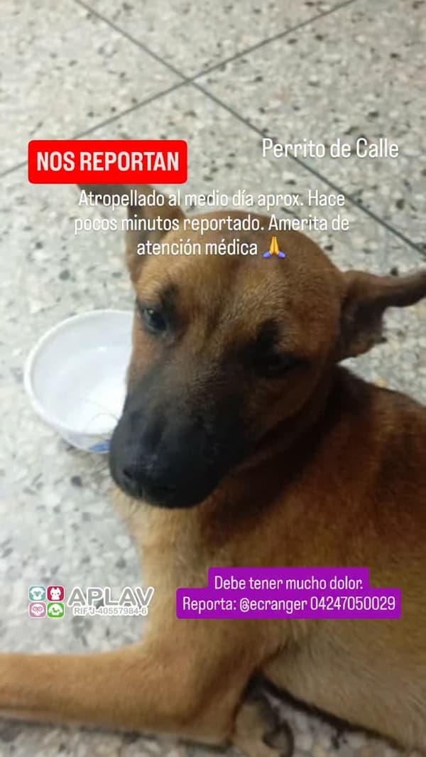 Sin nombre