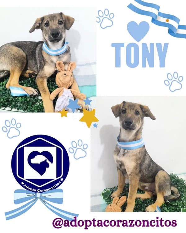 Tony