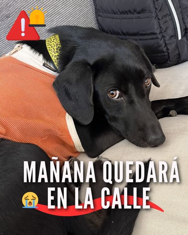 Sin nombre