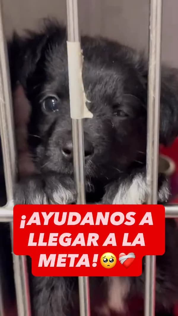 Sin nombre