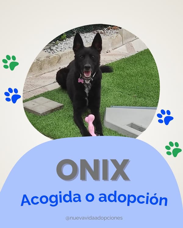 ONIX
