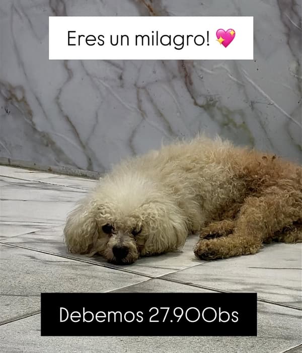 Sin nombre