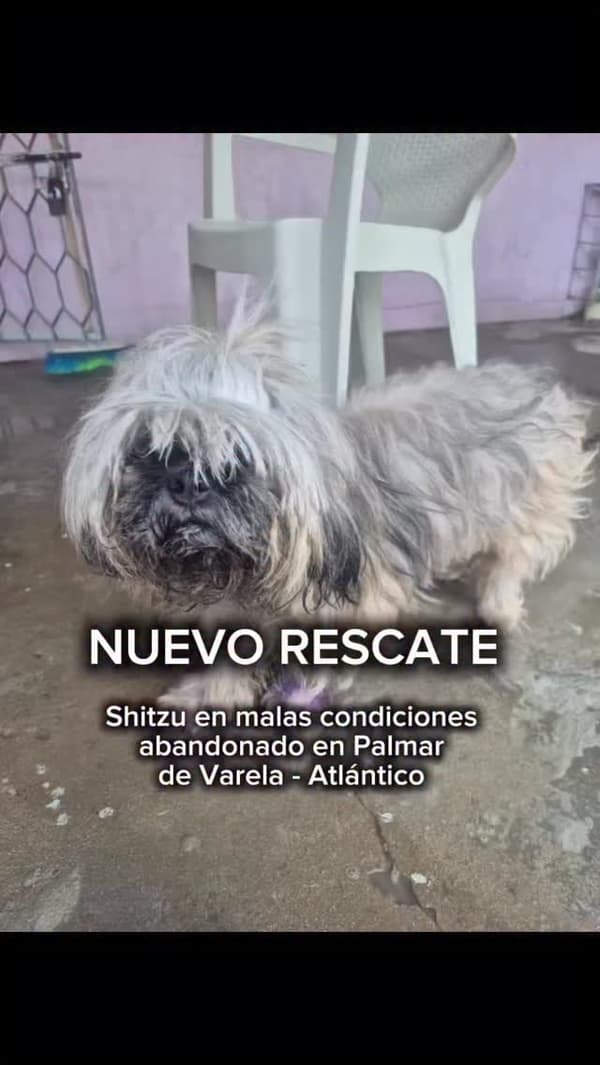 Sin nombre