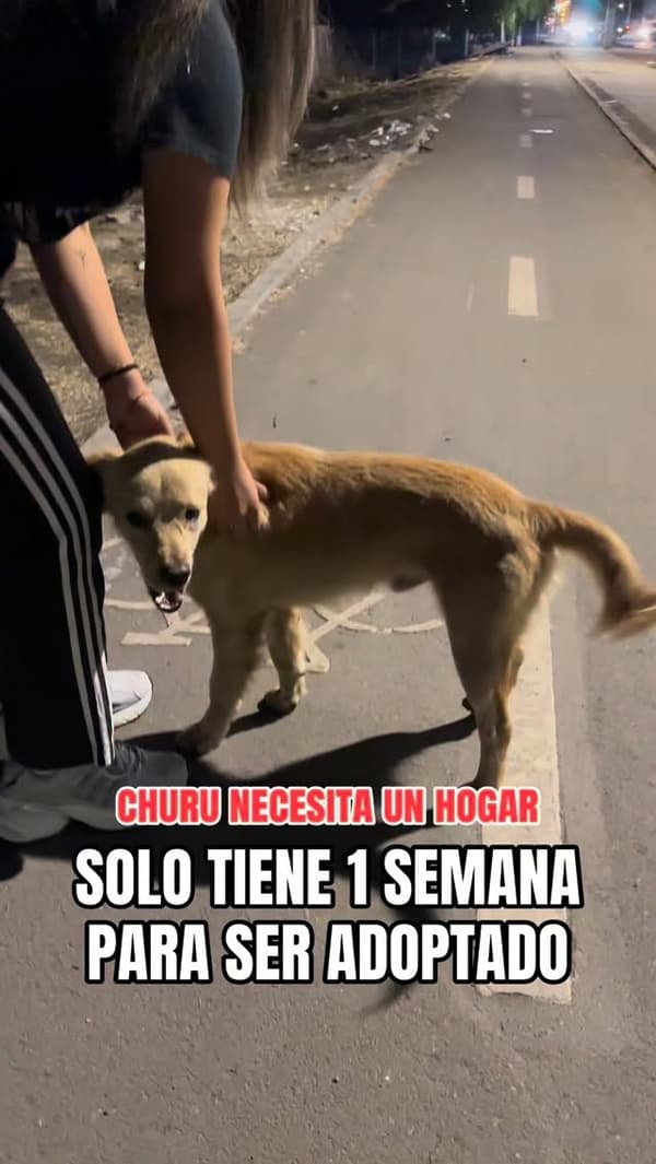 Churu