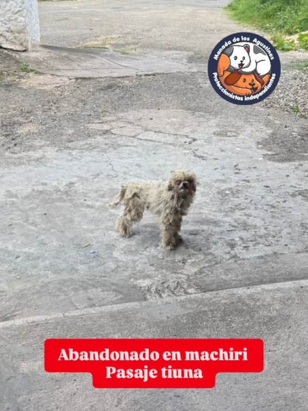 Sin nombre