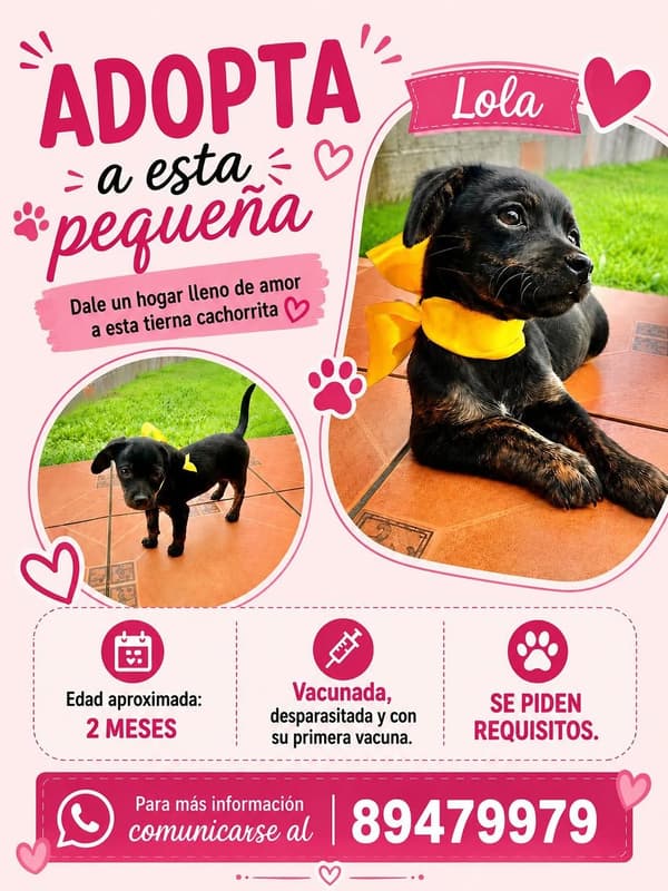 Lola
