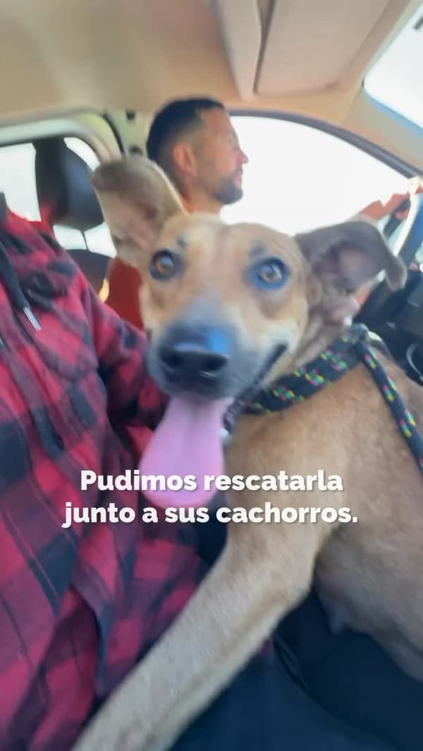 Mayka