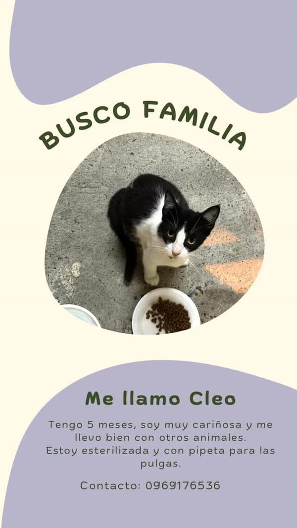 Cleo