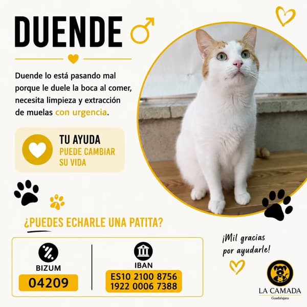 Duende
