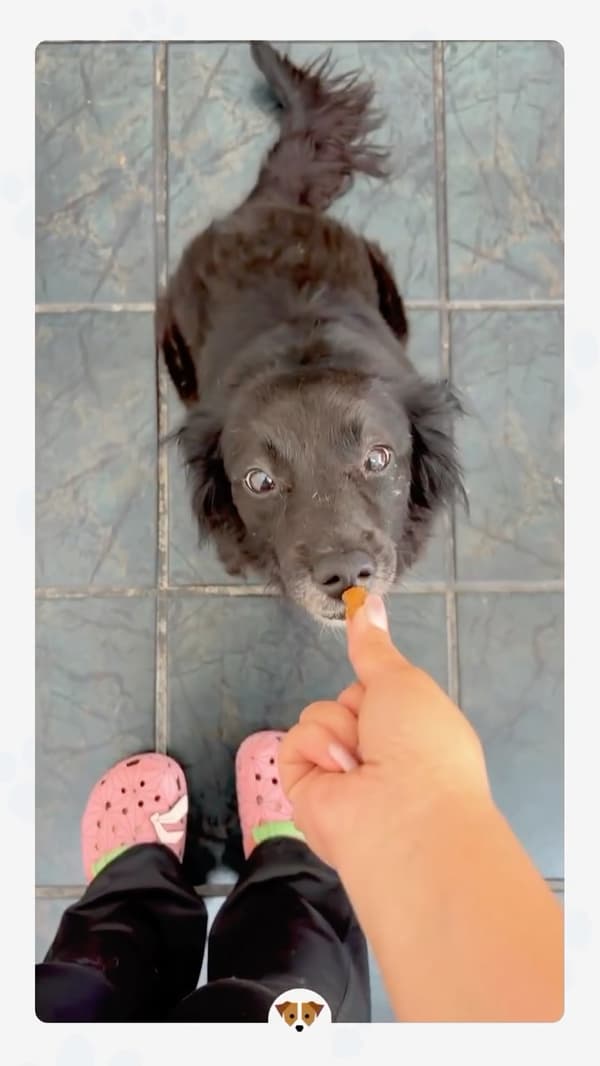 Maggie