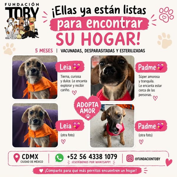 Leia, Padme