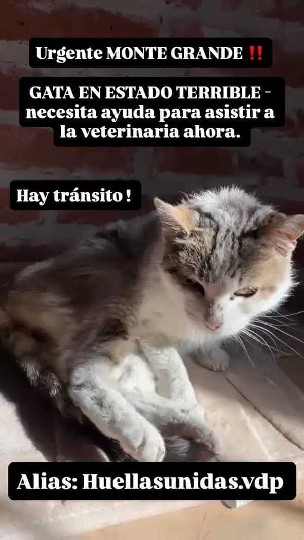 Sin nombre