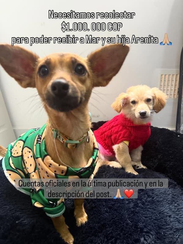 Mar, Arenita