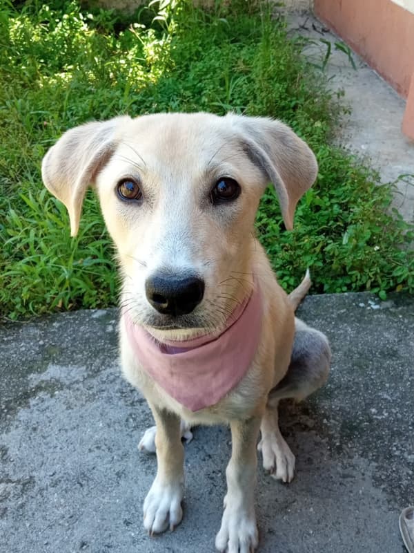 Filomena