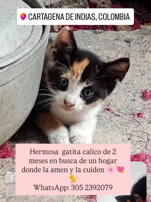 Sin nombre