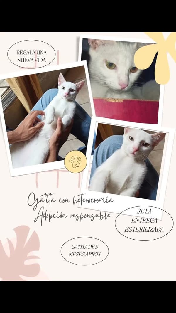 Sin nombre