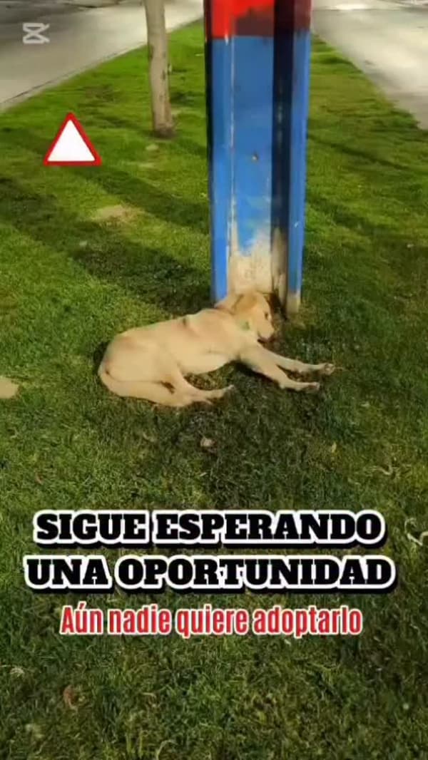 Sin nombre