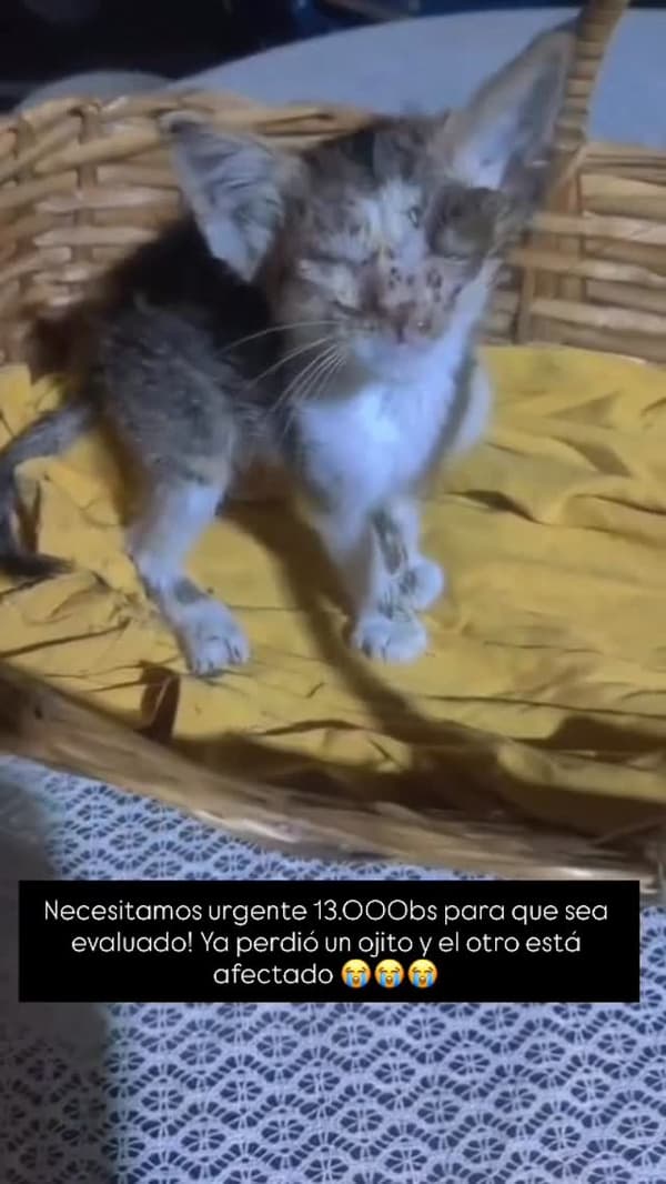 Sin nombre