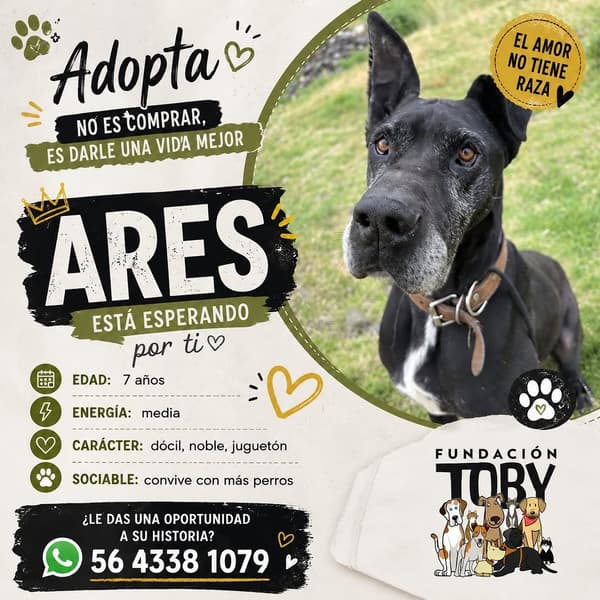 Ares