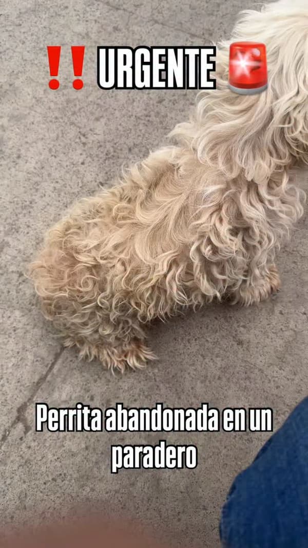 Sin nombre