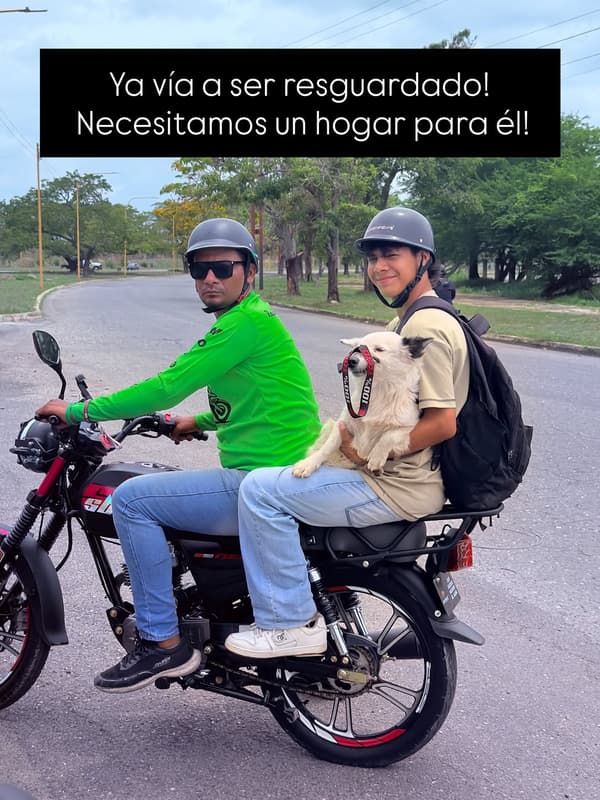 Sin nombre