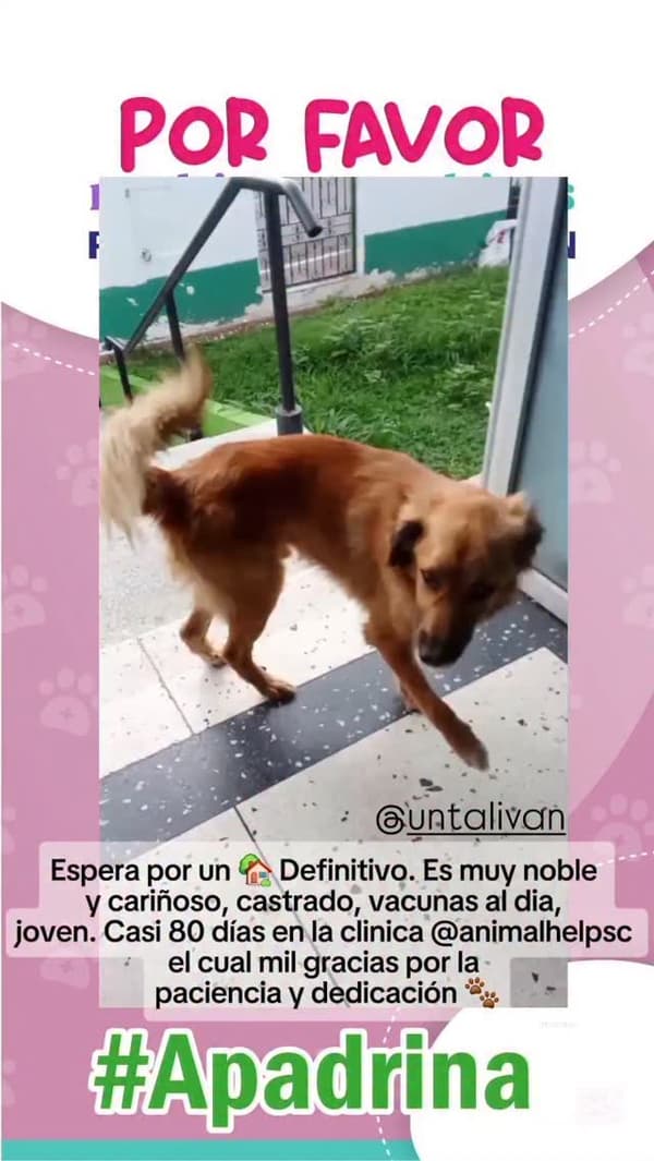 Roco