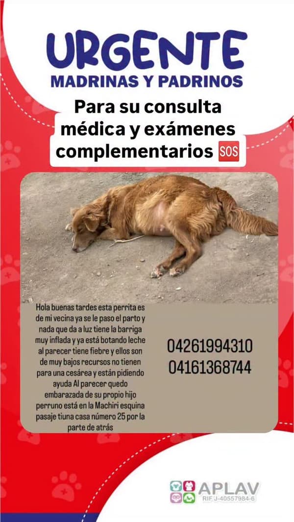 Sin nombre