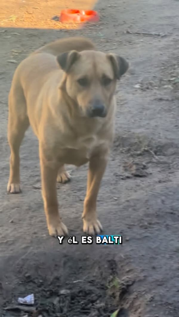 Baltazar
