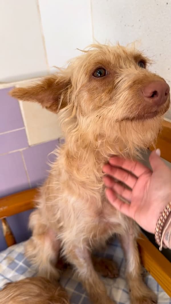 Zoe
