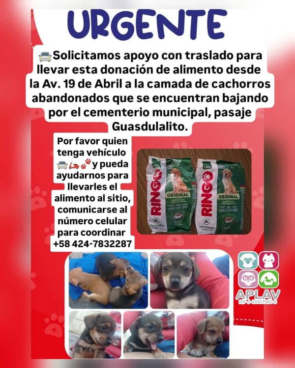Sin nombre