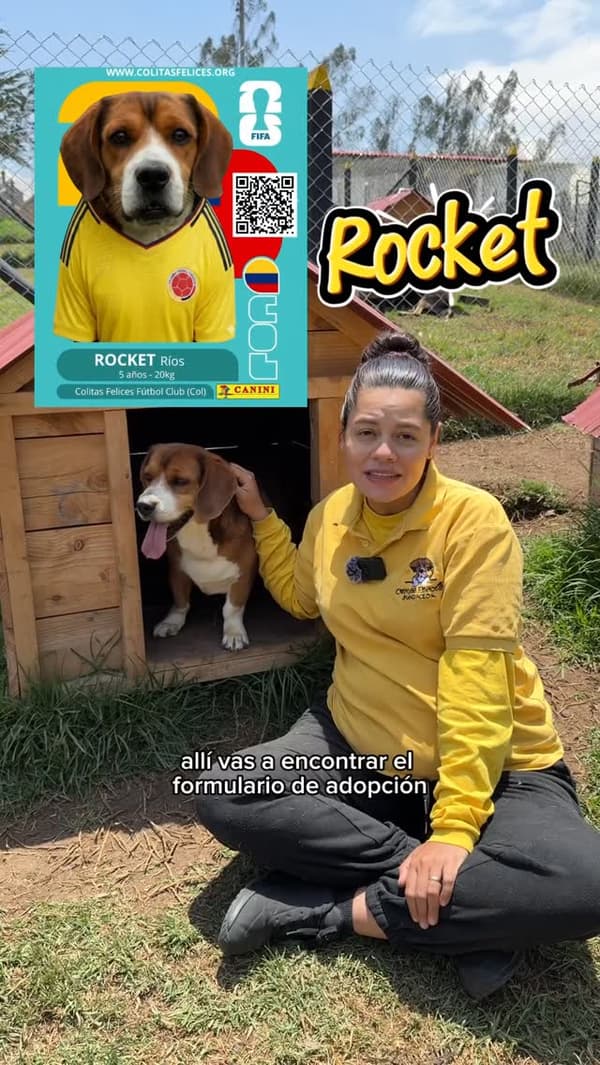 Rocket