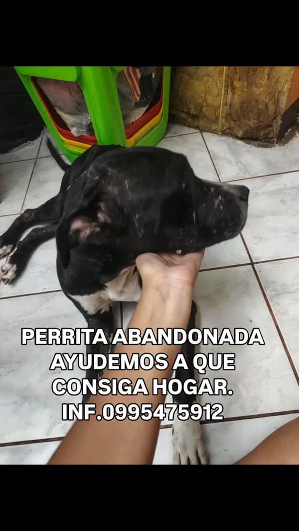 Sin nombre