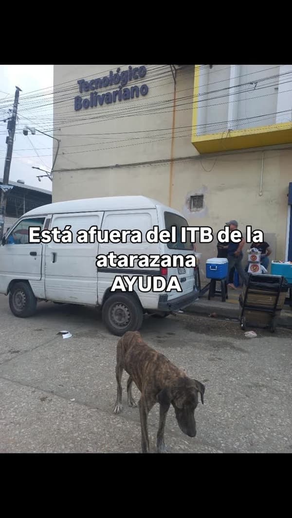 Sin nombre