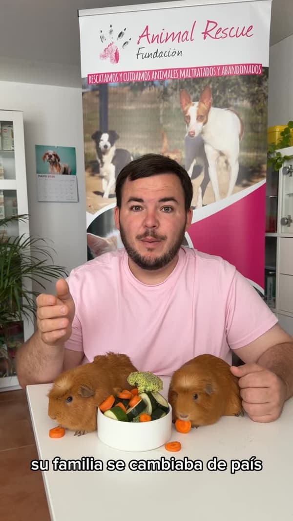 2 animalitos