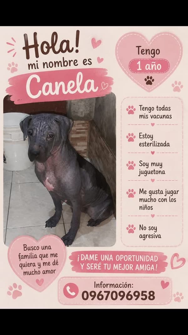 Canela