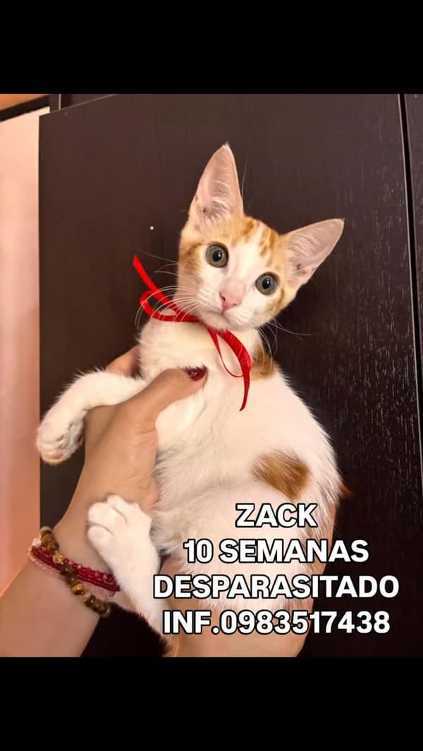 Zack