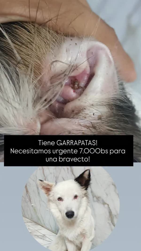 Sin nombre