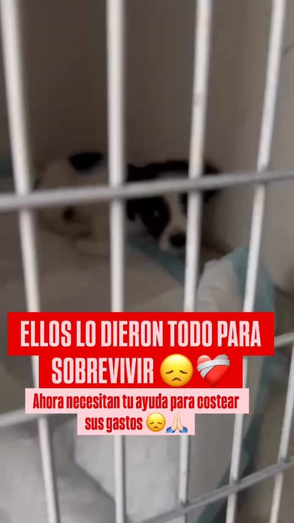Sin nombre