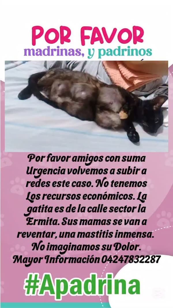 Sin nombre