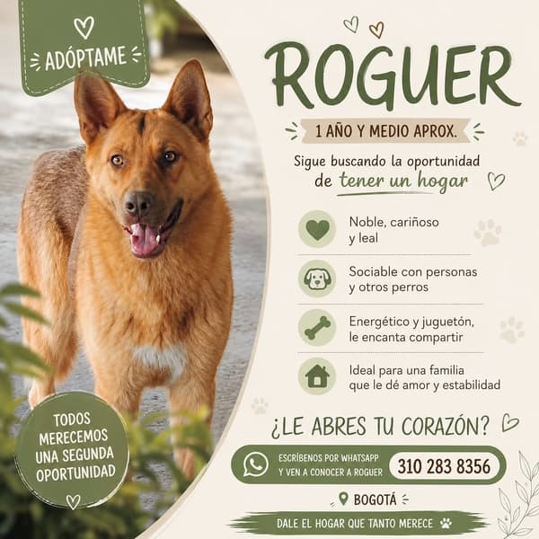 Roguer