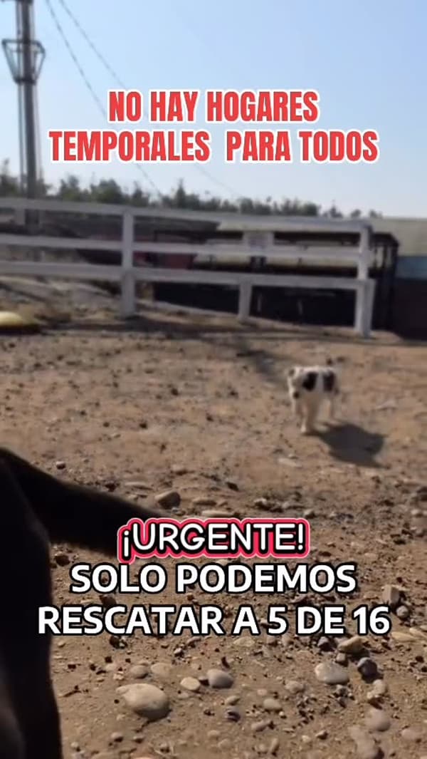 Sin nombre