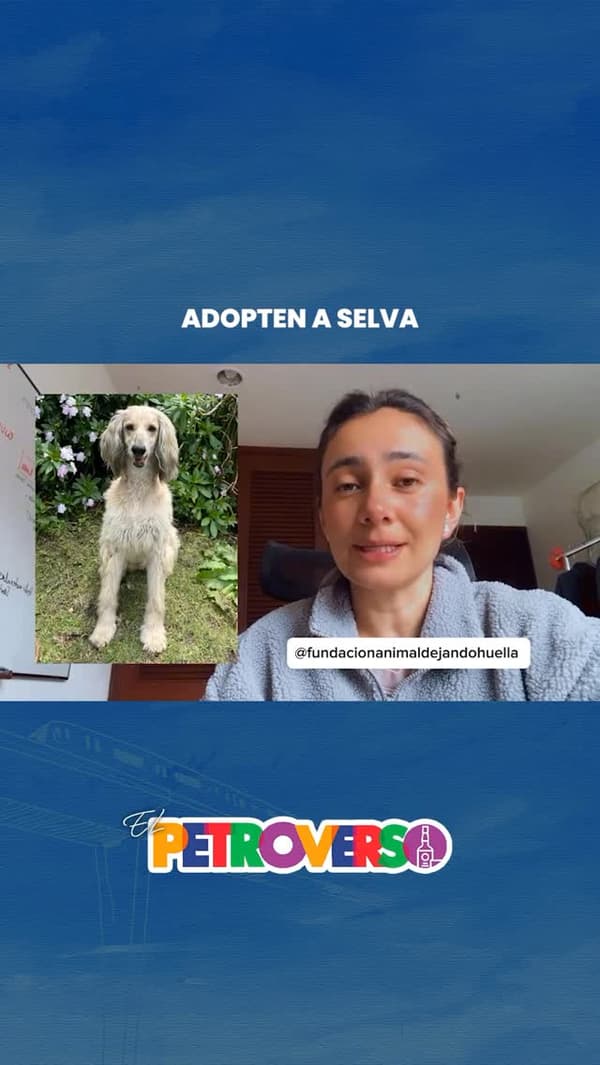 Selva