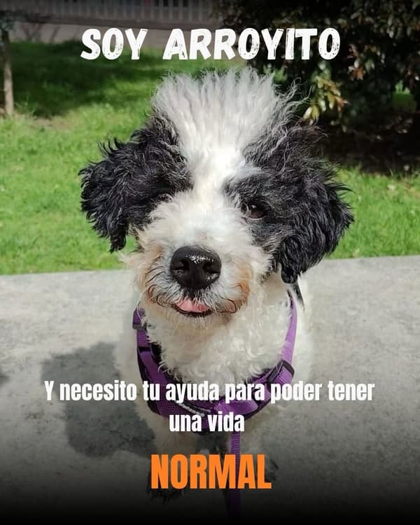 Arroyito
