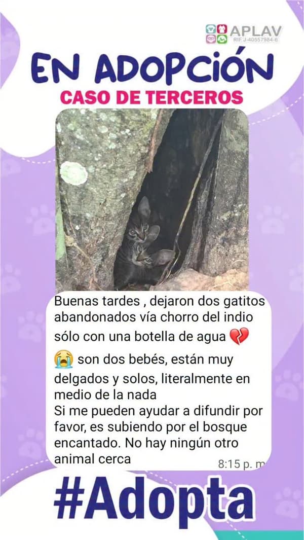 2 animalitos