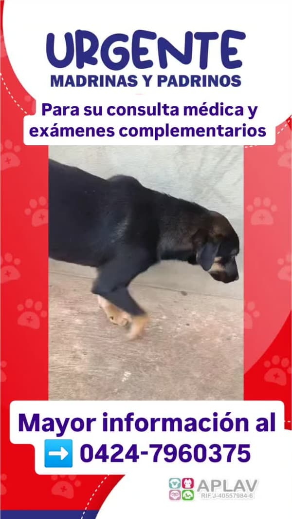 Sin nombre