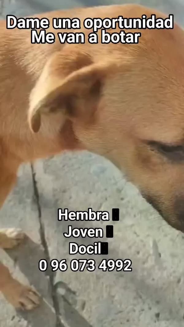 Sin nombre