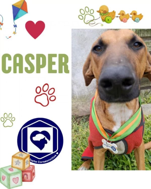 Casper