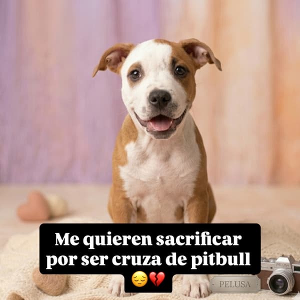 Sin nombre