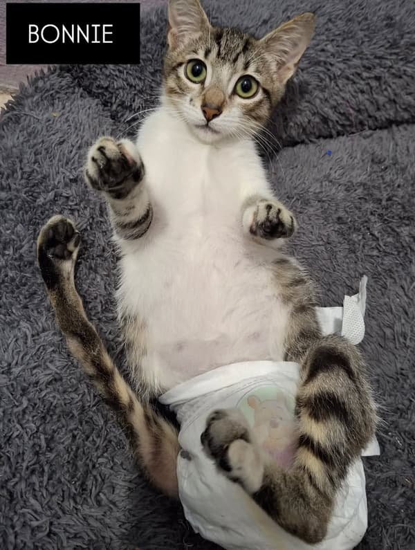 Bonnie
